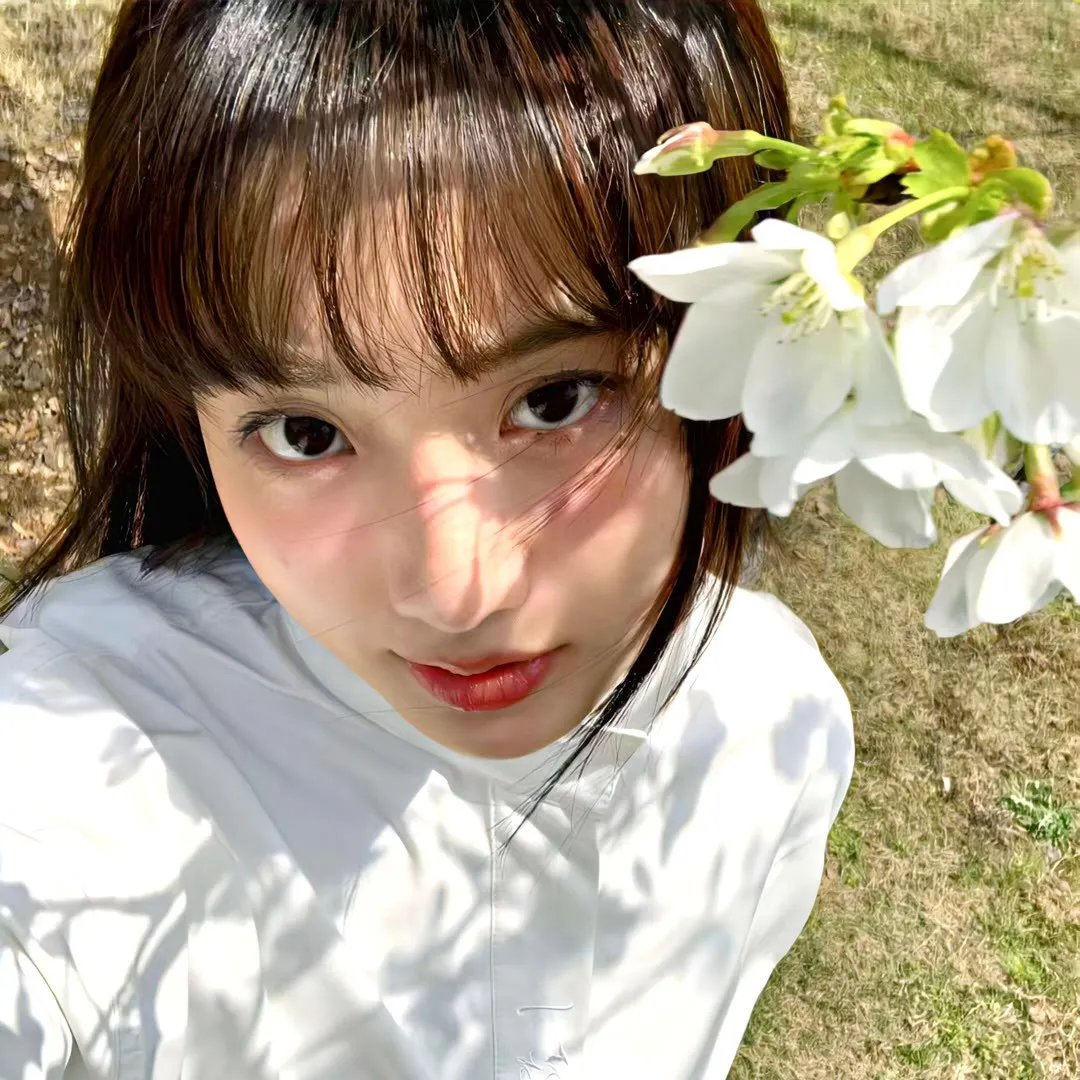 卿如野菊花